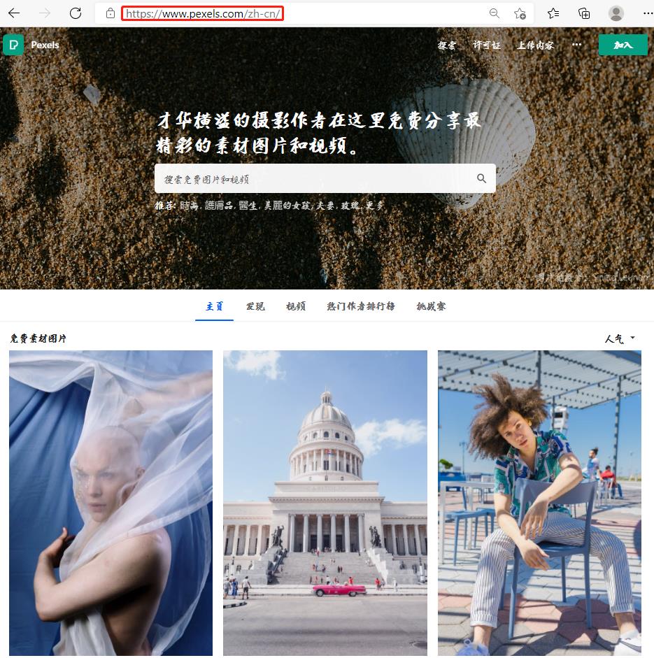  pexels 网站首页画面